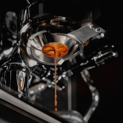 IKAPE Flat-bottom Bottomless Portafilter with Variable Diameter Basket - Polaris