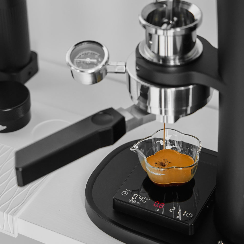 IKAPE Flat-bottom Bottomless Portafilter with Variable Diameter Basket - Polaris