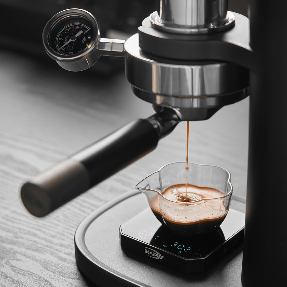 IKAPE Hand-Cranked Manual Coffee Machine Alkaid